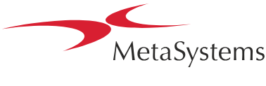 MetaSystems