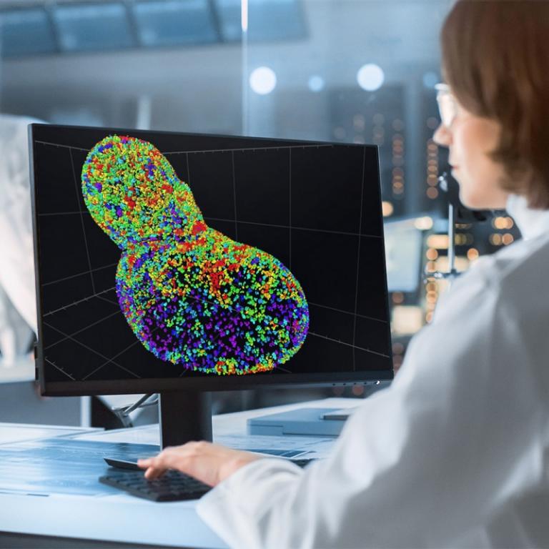 ZEISS Advanced Image Analysis
