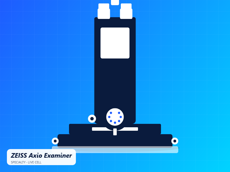 ZEISS Axio Examiner Inverted Microscope
