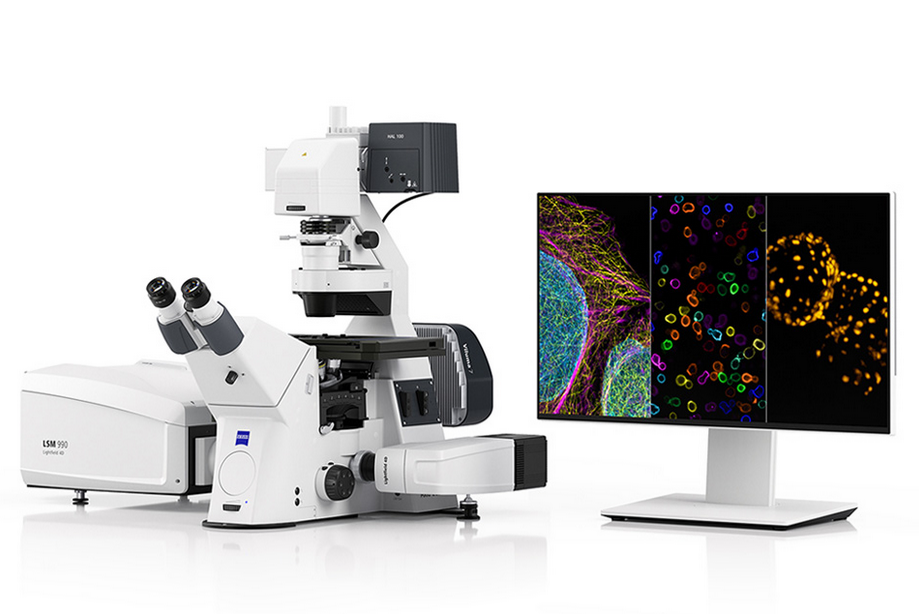 ZEISS LSM 990 confocal microscope